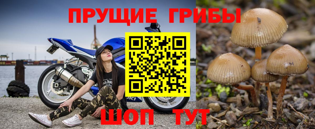 Галлюциногенные грибы ЛСД Великий Устюг