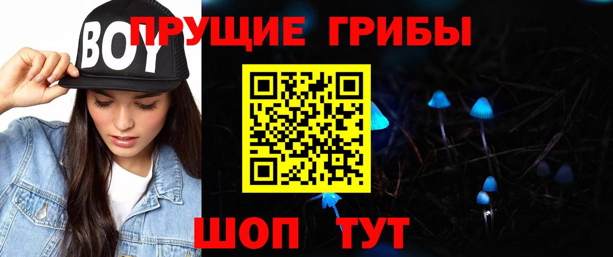 Великий Устюг  Псилоцибиновые грибы мухоморы  Галлюциногенные грибы Cubensis  где купить наркоту  Вход с VPN 